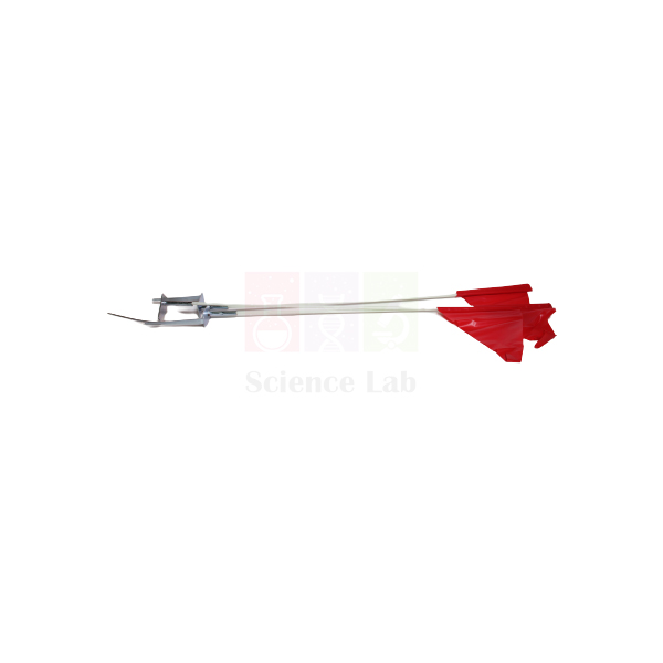 Picket with Flag